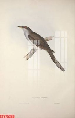 File PSD Tranh sơn dầu phương tây tổng hợp STS75280 (bản gốc) độ phân giải cao