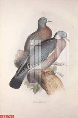 File gốc Tranh sơn dầu phương tây tổng hợp STS75281 (cho in 3D) độc đáo