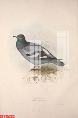 Tải file gốc Tranh sơn dầu phương tây tổng hợp STS75283 (in khổ lớn) không mờ