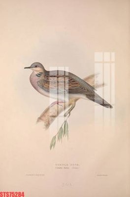 File in trần Tranh sơn dầu phương tây tổng hợp STS75284 (bản gốc) mây trời