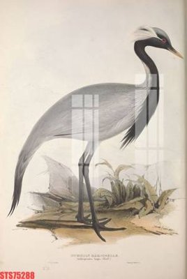 File gốc Tranh sơn dầu phương tây tổng hợp STS75288 (in 3D) nghệ thuật