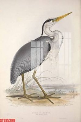 File gốc Tranh sơn dầu phương tây tổng hợp STS75289 (trang trí) phòng làm việc