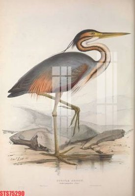 File gốc Tranh sơn dầu phương tây tổng hợp STS75290 (dành cho trang trí nội thất)