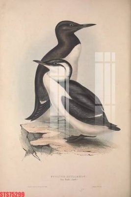 File gốc Tranh sơn dầu phương tây tổng hợp STS75299 (bản quyền) cho in ấn