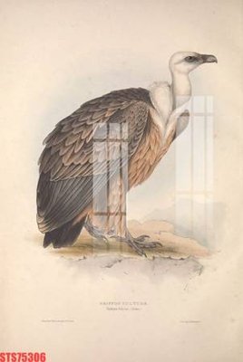 File ảnh Tranh sơn dầu phương tây tổng hợp STS75306 (gốc) in backdrop sự kiện