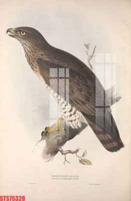 File ảnh Tranh sơn dầu phương tây tổng hợp STS75320 (gốc) in standee