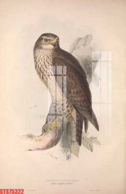 File PSD Tranh sơn dầu phương tây tổng hợp STS75322 (bản gốc) chất lượng nhất