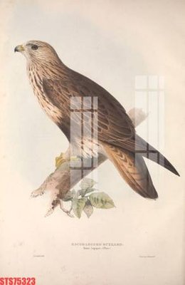 File tranh Tranh sơn dầu phương tây tổng hợp STS75323 (bản gốc) treo tường