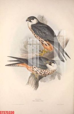 Tải file Tranh sơn dầu phương tây tổng hợp STS75330 (gốc) làm tranh trang trí