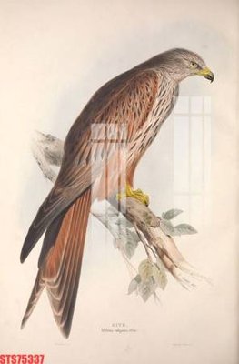 Download file gốc Tranh sơn dầu phương tây tổng hợp STS75337 (in lụa) tranh 3D