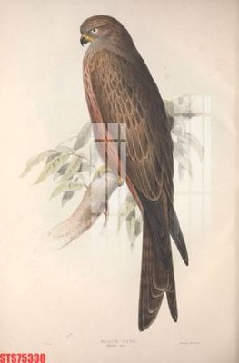 Tải file Tranh sơn dầu phương tây tổng hợp STS75338 (gốc) để in ấn ngay