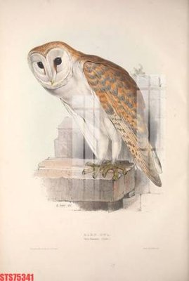 File tranh Tranh sơn dầu phương tây tổng hợp STS75341 (bản gốc) treo phòng ăn