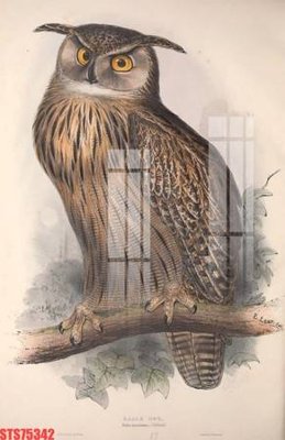 Tải file gốc Tranh sơn dầu phương tây tổng hợp STS75342 (in khổ lớn) không mờ