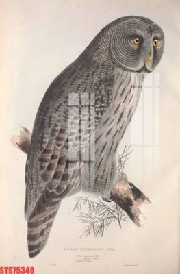 File gốc Tranh sơn dầu phương tây tổng hợp STS75348 (trang trí) phòng trẻ em