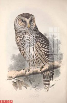 Tải file Tranh sơn dầu phương tây tổng hợp STS75352 (gốc) in nhanh