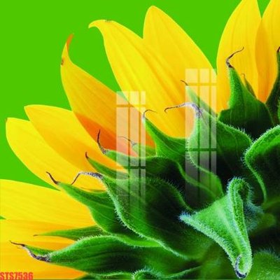 File gốc Tranh sơn dầu phương tây tổng hợp STS7536 (dành cho trang trí nội thất)