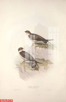 File ảnh Tranh sơn dầu phương tây tổng hợp STS75363 (gốc) cho trang trí nội thất