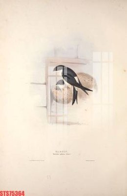 Tải file PSD Tranh sơn dầu phương tây tổng hợp STS75364 (nguyên layer) để in