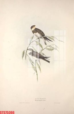 File gốc Tranh sơn dầu phương tây tổng hợp STS75366 (in lụa) tranh thuận buồm