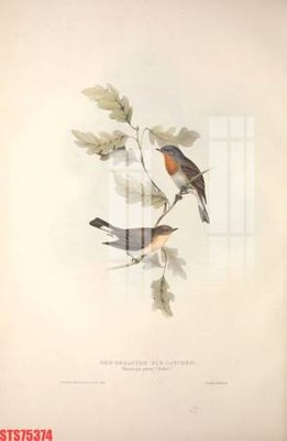 File gốc Tranh sơn dầu phương tây tổng hợp STS75374 (in lụa) trang trí tường