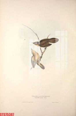 File tranh trang trí Tranh sơn dầu phương tây tổng hợp STS75387 (file gốc)