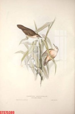 Tải file Tranh sơn dầu phương tây tổng hợp STS75389 (gốc) in ấn ngay lập tức