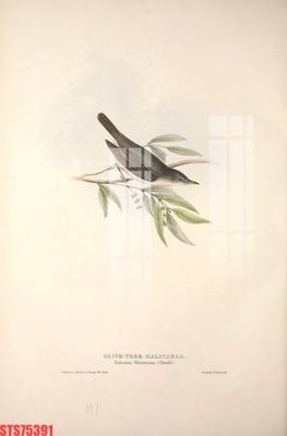 Tải file gốc Tranh sơn dầu phương tây tổng hợp STS75391 (in khổ lớn) quảng cáo