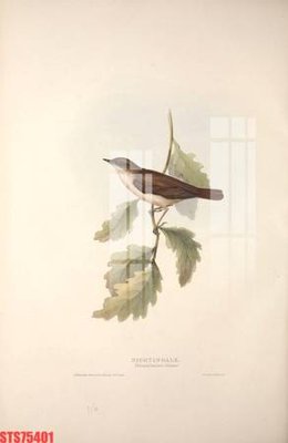 Tải file Tranh sơn dầu phương tây tổng hợp STS75401 (PSD) cho in tranh 3D