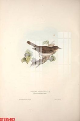 Cung cấp file tranh gốc Tranh sơn dầu phương tây tổng hợp STS75402 độc quyền