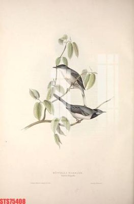 File ảnh Tranh sơn dầu phương tây tổng hợp STS75408 (gốc) dùng in Pano