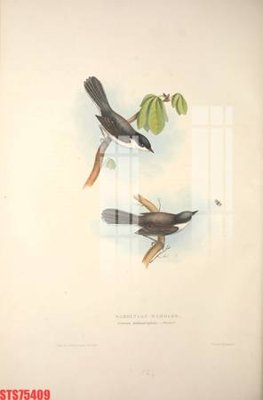 File gốc Tranh sơn dầu phương tây tổng hợp STS75409 (chủ đề hiện đại) trang trí