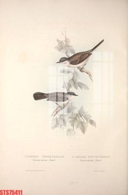 File PSD Tranh sơn dầu phương tây tổng hợp STS75411 (bản gốc) độ phân giải cao