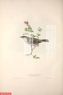 Tải file Tranh sơn dầu phương tây tổng hợp STS75414 (ảnh gốc) in tranh kính