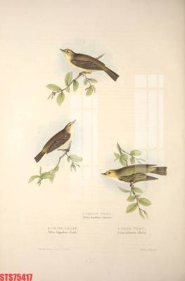 File gốc Tranh sơn dầu phương tây tổng hợp STS75417 (PNG) trong suốt (transparent)