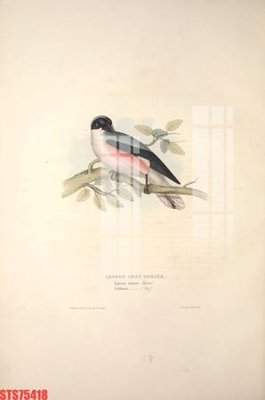 Tải file Tranh sơn dầu phương tây tổng hợp STS75418 (gốc) làm file quảng cáo