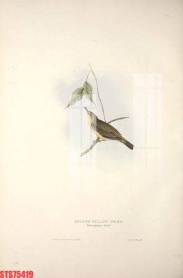 File gốc Tranh sơn dầu phương tây tổng hợp STS75419 (in tráng gương) hiện đại