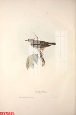 File PSD Tranh sơn dầu phương tây tổng hợp STS75425 (gốc) cho in quảng cáo