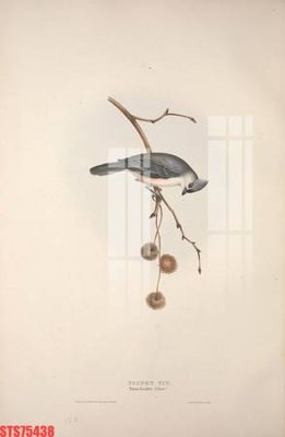 Tải file gốc Tranh sơn dầu phương tây tổng hợp STS75438 (in khổ lớn) không mờ