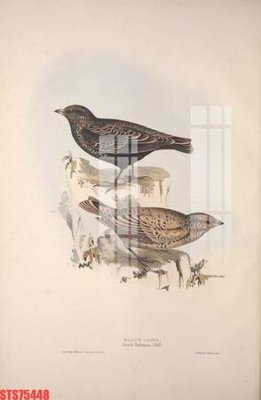 File gốc Tranh sơn dầu phương tây tổng hợp STS75448 (ảnh rõ nét) để in