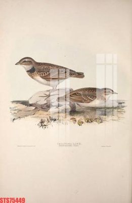 Download file Tranh sơn dầu phương tây tổng hợp STS75449 (gốc) in mica bàn thờ