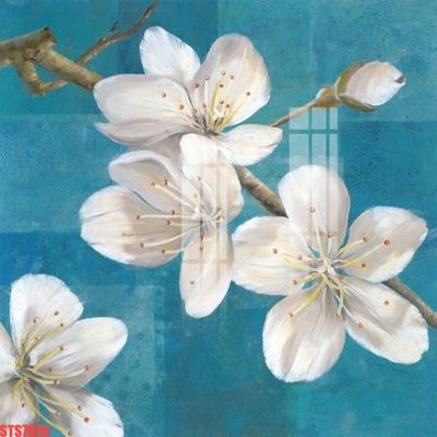 File tranh Tranh sơn dầu phương tây tổng hợp STS7616 (gốc) chủ đề tĩnh vật