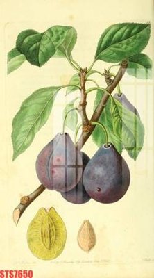 File gốc Tranh sơn dầu phương tây tổng hợp STS7650 (in ấn) không giới hạn