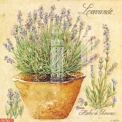 File gốc Tranh sơn dầu phương tây tổng hợp STS7706 (in tráng gương) nghệ thuật