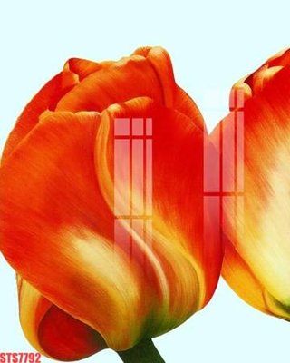 Chi tiết file tranh tráng gương Tranh sơn dầu phương tây tổng hợp STS7792 (ảnh gốc)