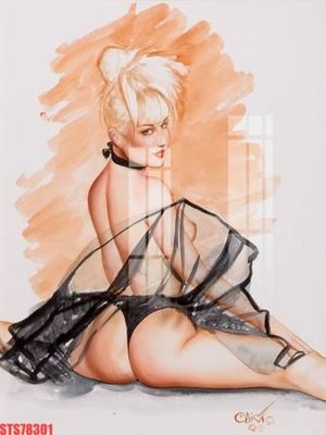 Ảnh gốc Tranh sơn dầu phương tây tổng hợp STS78301 (độ nét cao) in tráng gương