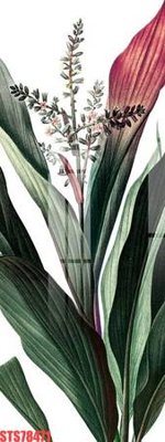 Download file gốc Tranh sơn dầu phương tây tổng hợp STS78471 (dùng cho in ấn)