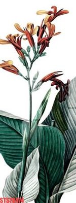 Tải file Tranh sơn dầu phương tây tổng hợp STS78474 (gốc) chủ đề tôn giáo