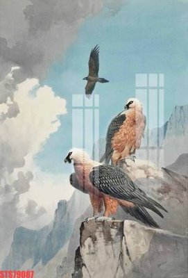 Tải file Tranh sơn dầu phương tây tổng hợp STS79087 (gốc) làm tranh trang trí