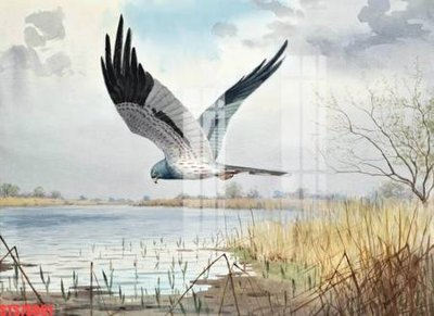 Tải file gốc Tranh sơn dầu phương tây tổng hợp STS79091 (in bạt) quảng cáo