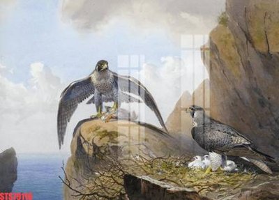 Download file Tranh sơn dầu phương tây tổng hợp STS79116 (gốc) cho xưởng in